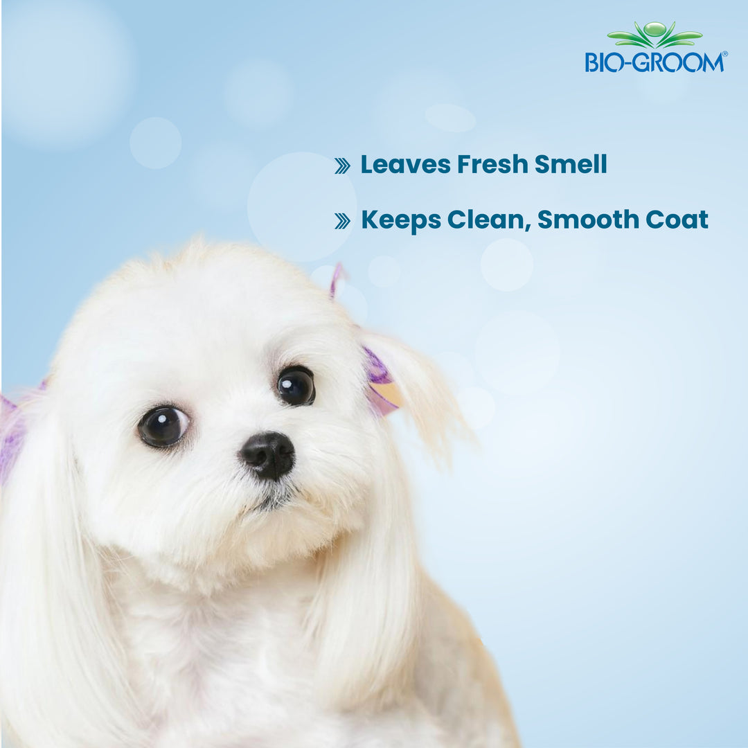 biogroom desert agave, biogroom desert agave cologne, bio groom waterless shampoo, bio groom ear powder, bio groom ear cleaner, biogroom desert agave scent, biogroom south africa, bio groom shampoo, bio groom shampoo reviews, bio groom shampoo super white, bio groom shampoo cat, bio groom shampoo for shih tzu, bio groom shampoo and conditioner, bio groom shampoo nearby, bio groom shampoo amazon, bio groom shampoo puppies, bio groom shampoo black, biogroom pets, bio groom pet shampoo, bio groom shampoo, bio