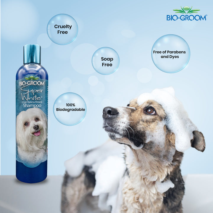 bio groom waterless dog shampoo, bio groom conditioner, bio groom pet shampoo, bio groom dog shampoo reviews, bio groom dog spray, bio groom super white pet shampoo, what is bio sponge for dogs, pet care bio examples, grooming pet near me, bio groom shampoo, bio groom super white shampoo, bio groom cat shampoo, pet Biogroom shampoo, bio groom pet shampoo, bio groom super white pet shampoo, what shampoo does petco use for grooming, what shampoo does petsmart use for grooming