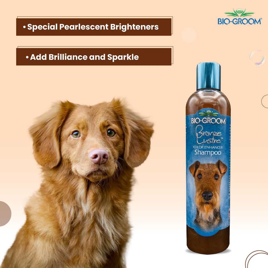 bio groom cologne,bio-groom desert agave, bio-groom so stinky, bio groom waterless shampoo, bio groom econo groom , bio groom shampoo, bio groom shampoo, bio groom conditioner, biogroom desert agave, biogroom desert agave cologne, bio groom waterless shampoo, bio groom ear powder, bio groom ear cleaner, biogroom desert agave scent, biogroom south africa, bio groom shampoo, bio groom shampoo reviews, bio groom shampoo super white, bio groom shampoo cat, bio groom shampoo for shih tzu