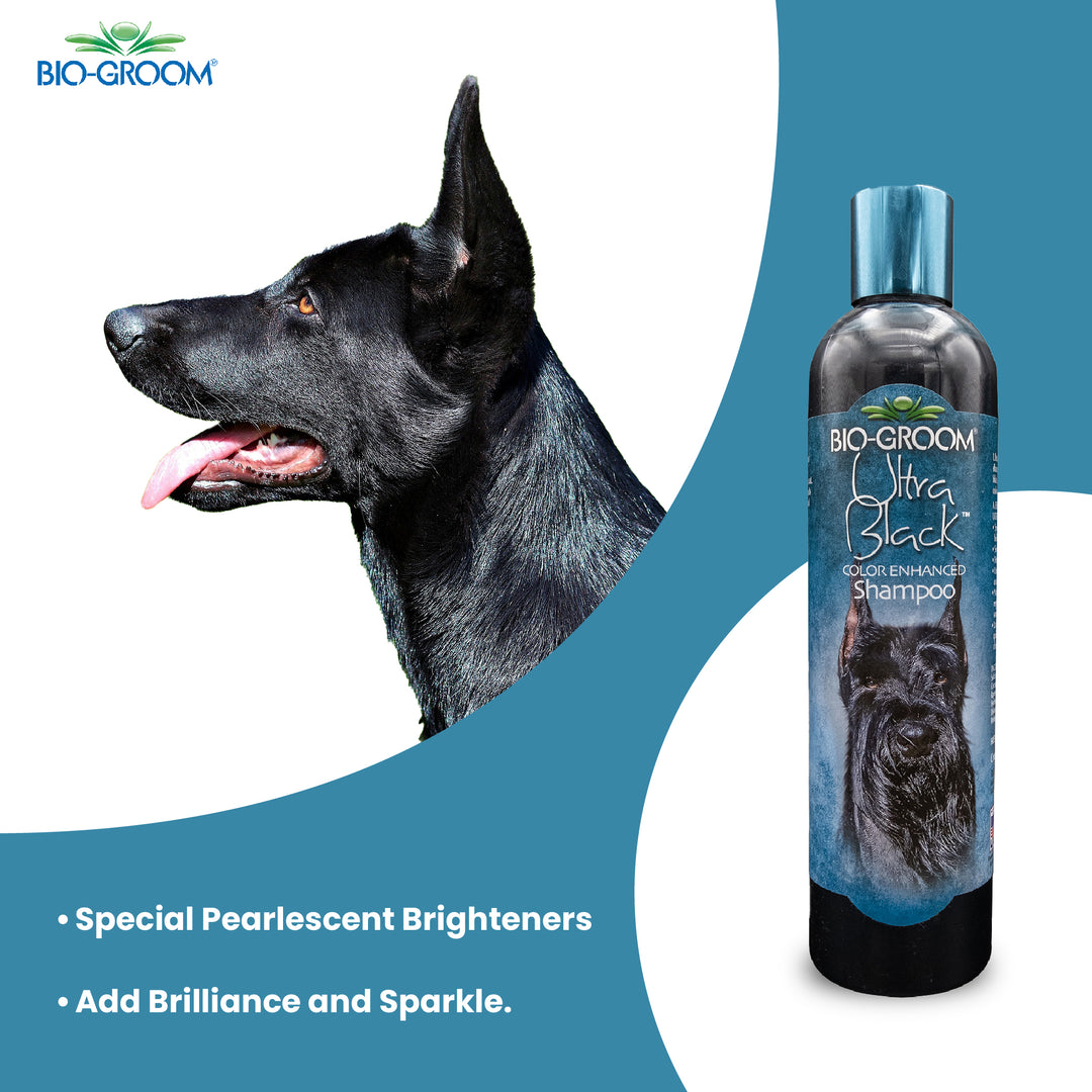 Bio-Groom Ultra Black Colour Enhancing Dog Grooming Shampoo, 355 ml