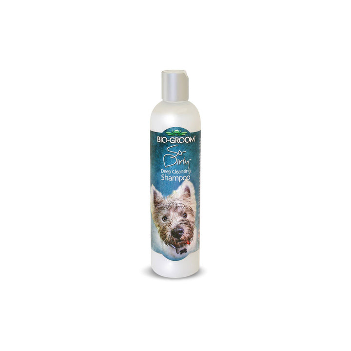 bio-groom so stinky, bio groom waterless shampoo, bio groom econo groom , bio groom shampoo, bio groom shampoo, bio groom conditioner, biogroom desert agave, biogroom desert agave cologne, bio groom waterless shampoo, bio groom ear powder, bio groom ear cleaner, biogroom desert agave scent, biogroom south africa, bio groom shampoo, bio groom shampoo reviews, bio groom shampoo super white, bio groom shampoo cat