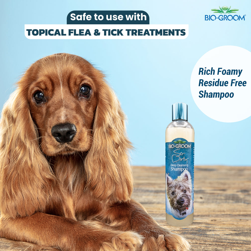 bio groom shampoo, bio groom shampoo, bio groom conditioner, biogroom desert agave, biogroom desert agave cologne, bio groom waterless shampoo, bio groom ear powder, bio groom ear cleaner, biogroom desert agave scent, biogroom south africa, bio groom shampoo, bio groom shampoo reviews, bio groom shampoo super white, bio groom shampoo cat, bio groom shampoo for shih tzu, bio groom shampoo and conditioner