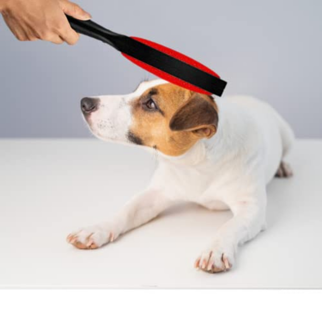 Trixie Lint Brush Easy Way to Clean of Pet Hair Double-Sided Black/Red