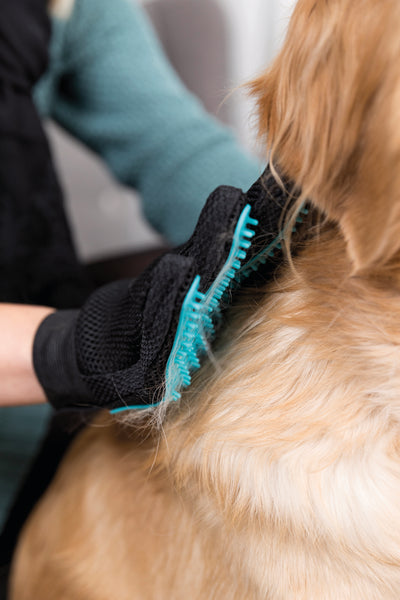 ABK Dog Coat Care Combo - Andis Slicker Brush + Trixie Fur Care Glove