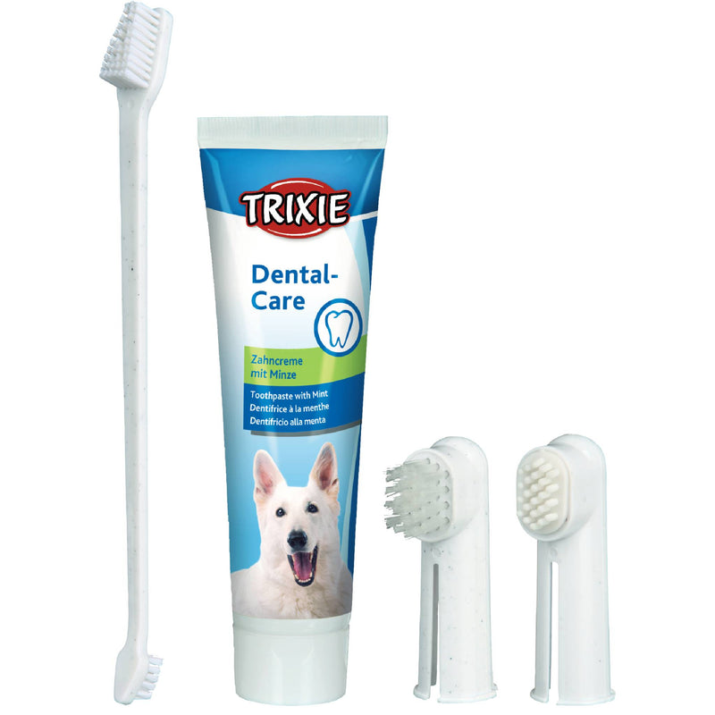 Dog Dental Hygiene Kit for dog