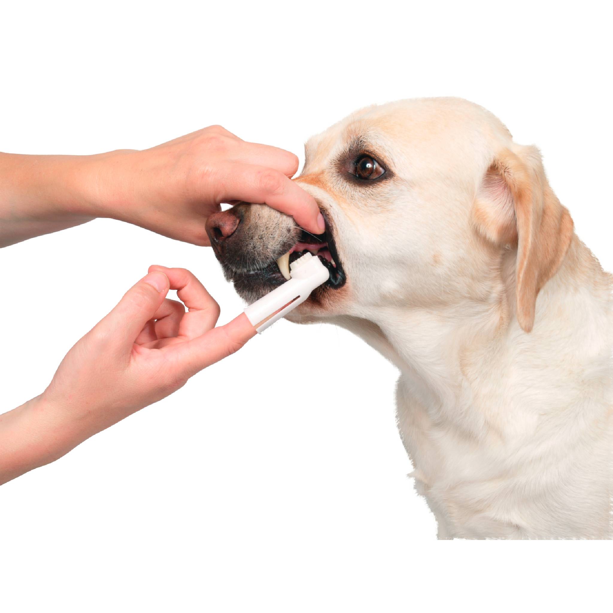 Dog Dental Hygiene Kit for dogs - Pack of 2
