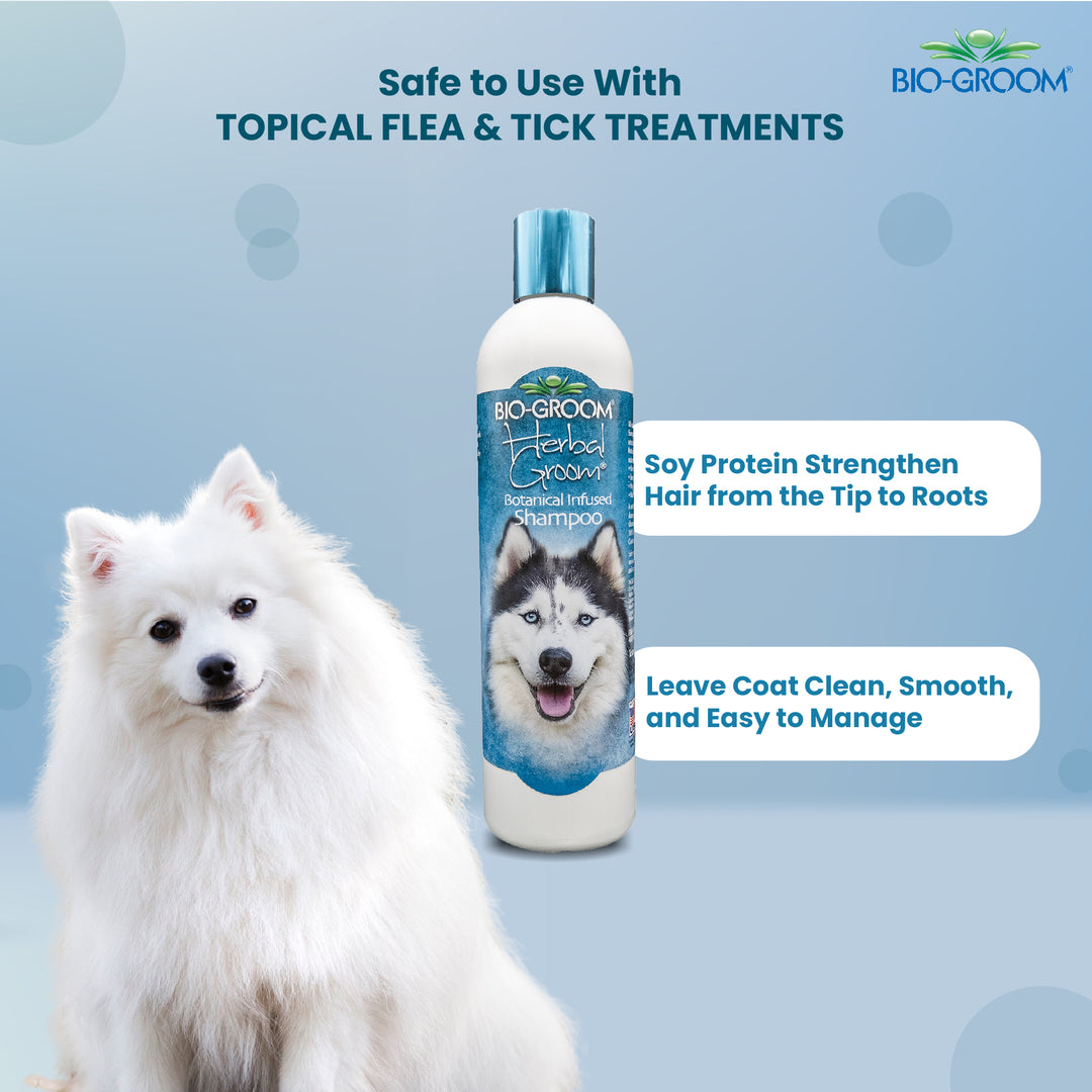 bio groom black.dog.shampoo, cat Biogroom shampoo, bio groom cat shampoo, bio groom purrfect white cat shampoo, do pet groomers groom cats, do pet groomers wash cats, can i wash cat with shampoo, cat shampoo vs human shampoo, how do groomers groom a cat, bio groom shampoo, bio groom pet shampoo, cat hair growth shampoo