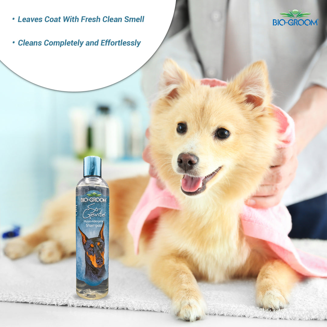 Bio-Groom So Gentle Hypoallergic Pet Grooming Shampoo, Pet shampoo, Shampoo for dogs and cats, Safe for puppies and kittens, Shampoo suitable for dogs and cats of all breeds, Bio groom Shampoo, Best Pet grooming shampoo, affordable pet bathing shampoo, Cruelty free pet shampoo  Bio Groom Lanolin Shampoo, Best Puppy Shampoo For Fleas, Dog Shampoo, Hypoallergic Pet Bathing Shampoo, pH Balanced Pet Shampoo, Pet shampoo cleans completely and effortlessely 