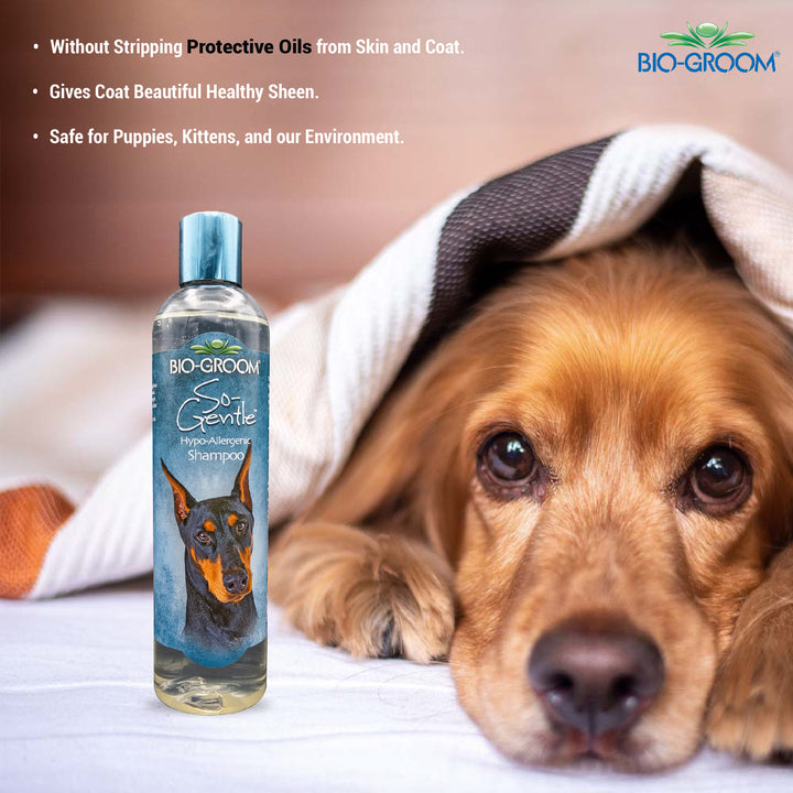 bio groom super white shampoo, bio groom cat shampoo, pet Biogroom shampoo, bio groom pet shampoo, bio groom super white pet shampoo, what shampoo does petco use for grooming, what shampoo does petsmart use for grooming, bio groom shampoo, bio groom shampoo cat, bio groom super white shampoo, dog Biogroom shampoo, bio groom dog shampoo, bio groom dog shampoo reviews, bio groom waterless dog shampoo, bio groom super white dog shampoo, bio groom super whitening dog shampoo