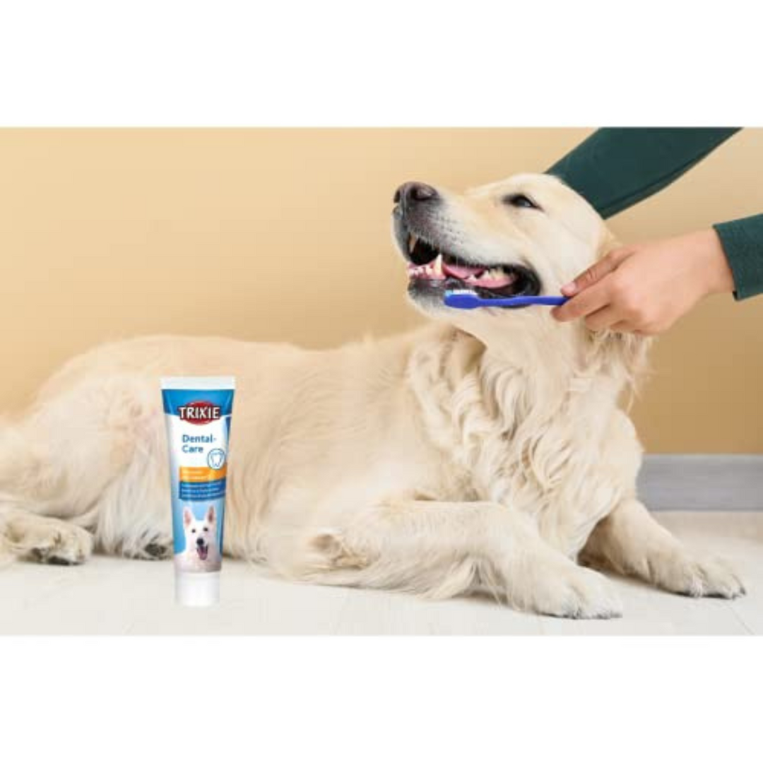 Trixie Dog Toothpaste with Tea Tree Oil Flavour, 100gm