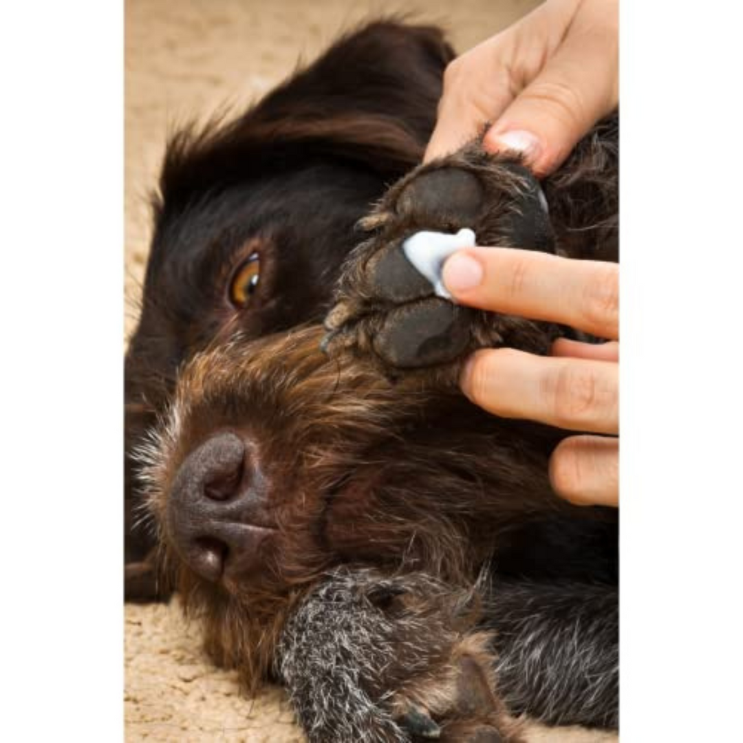 Trixie Paw Care with Beeswax 50ml ABK grooming