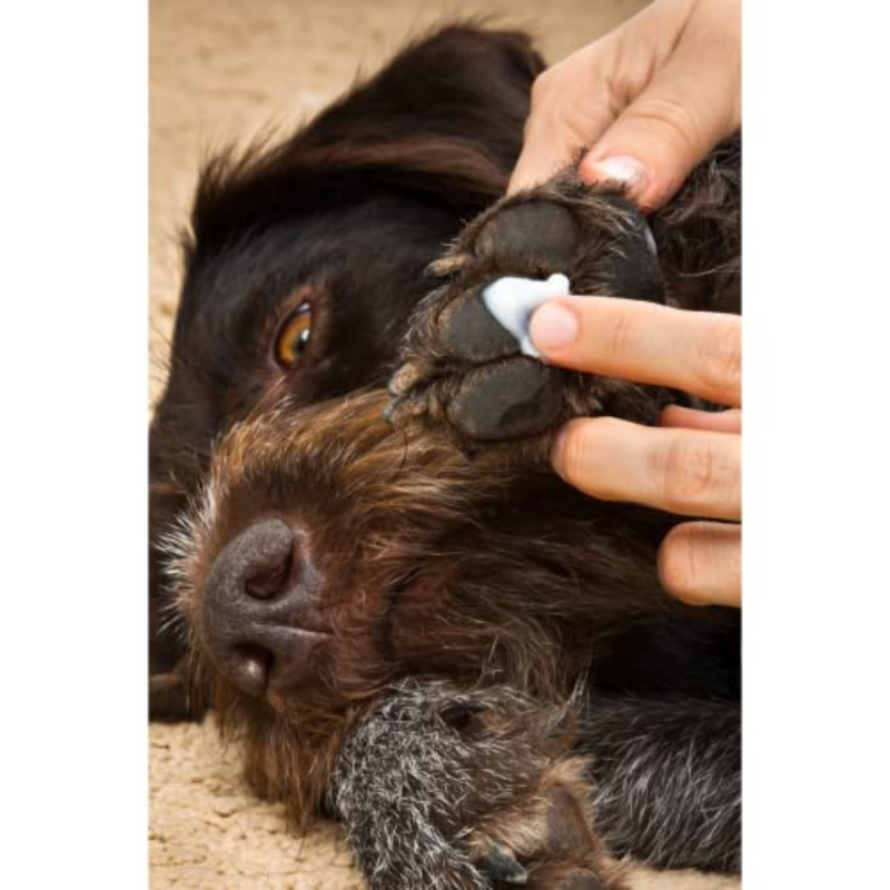 Trixie Paw-Care with Beeswax 50ml