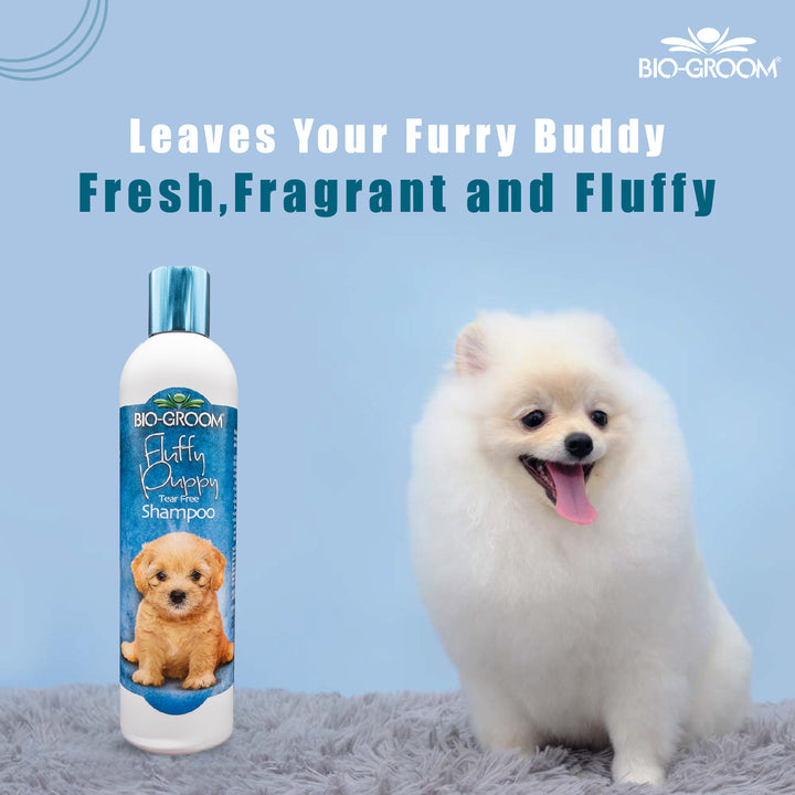 dog Biogroom shampoo, bio groom dog shampoo, bio groom dog shampoo reviews, bio groom waterless dog shampoo, bio groom super white dog shampoo, bio groom super whitening dog shampoo, bio groom ultra black dog shampoo, bio groom flea & tick dog shampoo, bio-groom natural oatmeal dog shampoo, bio groom oatmeal dog shampoo, bio groom black.dog.shampoo, cat Biogroom shampoo, bio groom cat shampoo, bio groom purrfect white cat shampoo, do pet groomers groom cats, do pet groomers wash cats, can i wash cat with sh