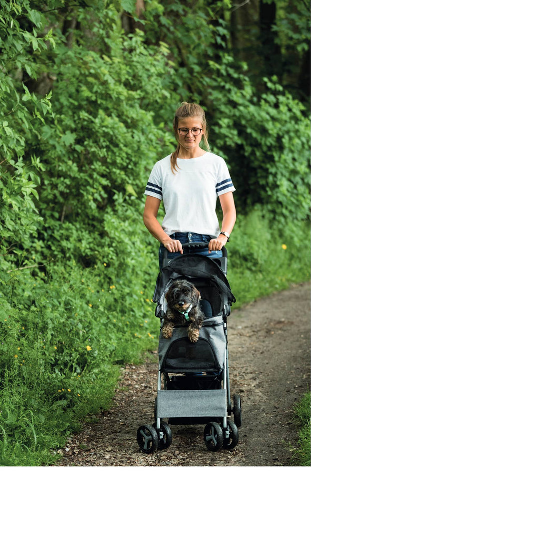 Buggy - abkgrooming