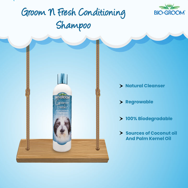 bio groom cat shampoo, pet Biogroom shampoo, bio groom pet shampoo, bio groom super white pet shampoo, what shampoo does petco use for grooming, what shampoo does petsmart use for grooming, bio groom shampoo, bio groom shampoo cat, bio groom super white shampoo, dog Biogroom shampoo, bio groom dog shampoo, bio groom dog shampoo reviews, bio groom waterless dog shampoo, bio groom super white dog shampoo, bio groom super whitening dog shampoo, bio groom ultra black dog shampoo.
