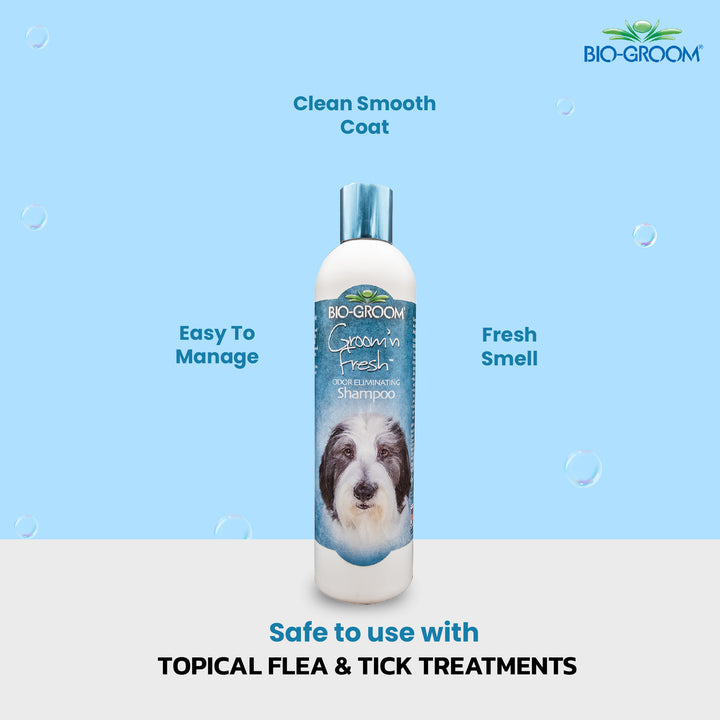 bio-groom so stinky, bio groom waterless shampoo, bio groom econo groom , bio groom shampoo, bio groom shampoo, bio groom conditioner, biogroom desert agave, biogroom desert agave cologne, bio groom waterless shampoo, bio groom ear powder, bio groom ear cleaner, biogroom desert agave scent, biogroom south africa, bio groom shampoo, bio groom shampoo reviews, bio groom shampoo super white, bio groom shampoo cat