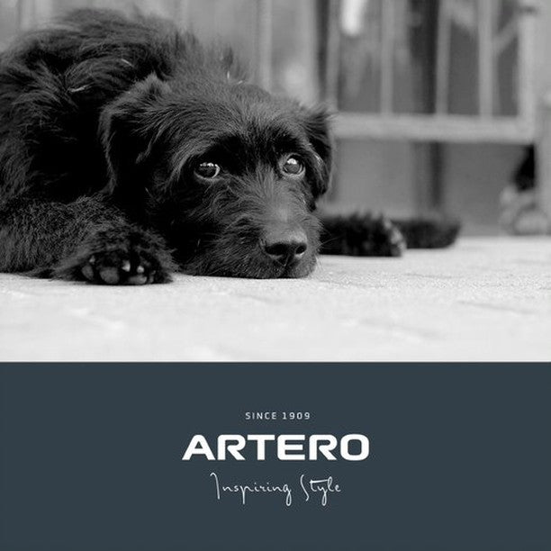 Artero Waist Work Belt for pet groomers, 6-Space
