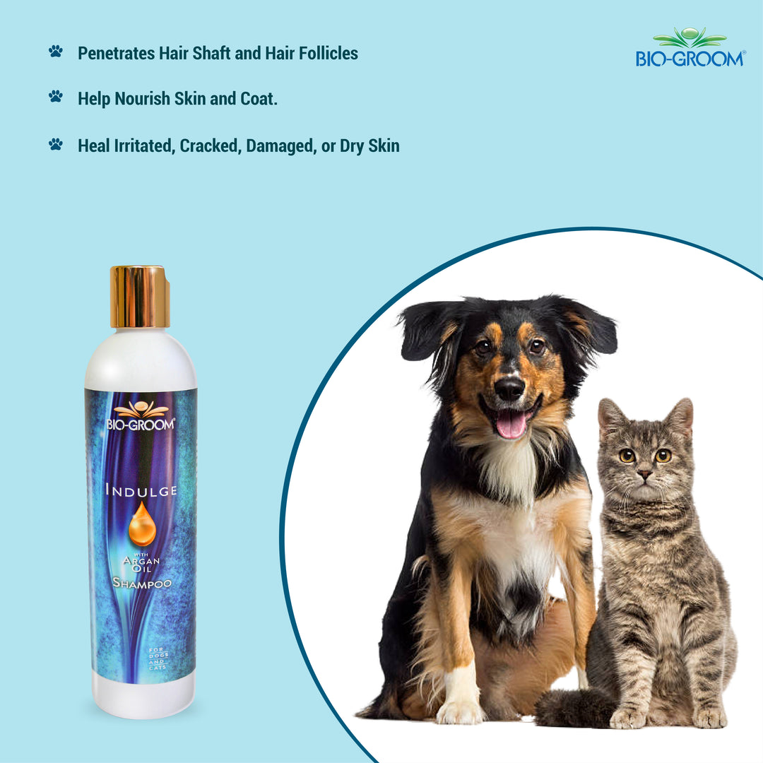 bio groom, bio groom shampoo reviews, bio groom reviews, bio groom conditioner, bio groom cologne,bio-groom desert agave, bio-groom so stinky, bio groom waterless shampoo, bio groom econo groom , bio groom shampoo, bio groom shampoo, bio groom conditioner, biogroom desert agave, biogroom desert agave cologne, bio groom waterless shampoo, bio groom ear powder, bio groom ear cleaner, biogroom desert agave scent