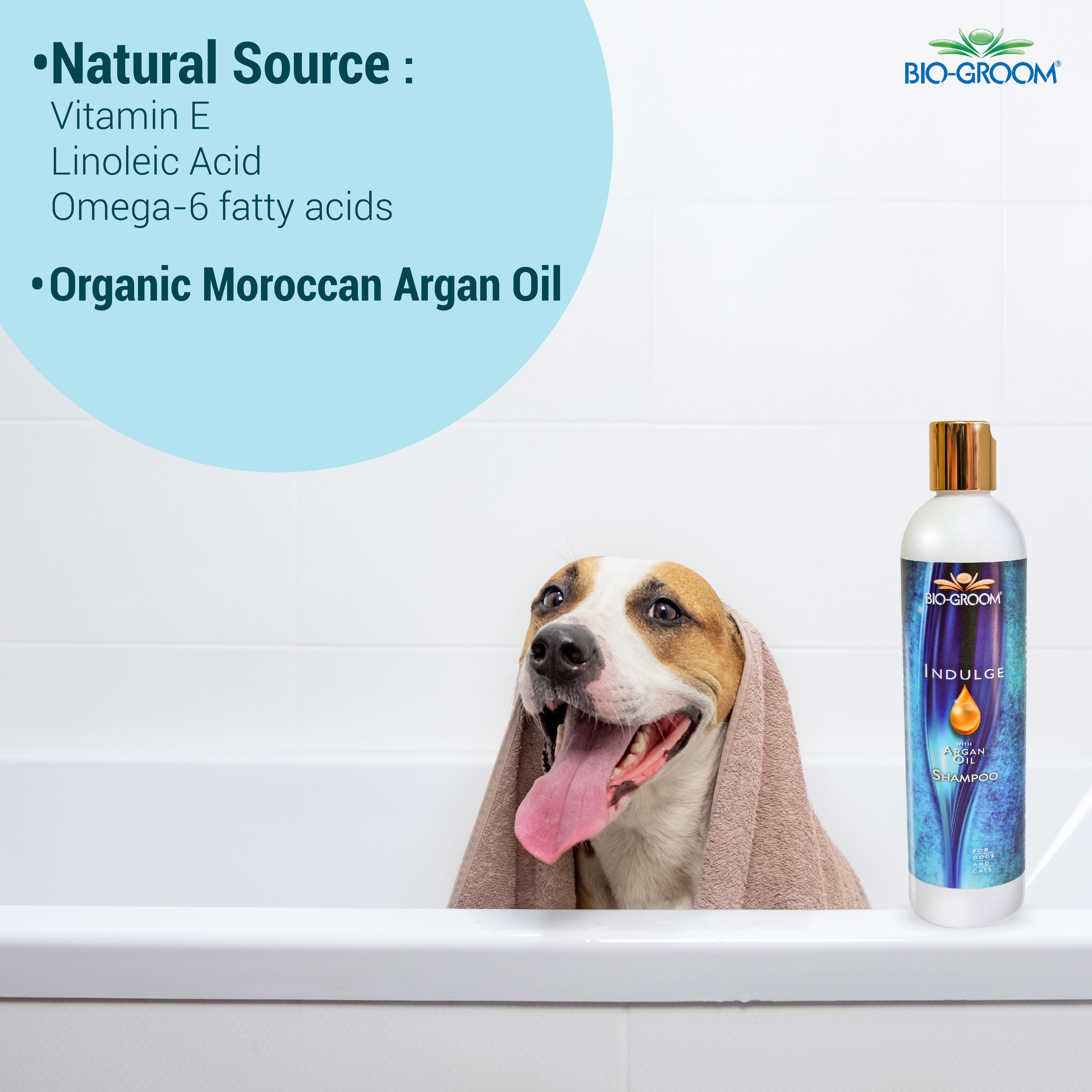 Biogroom Indulge Sulfate-Free Argan Oil Shampoo For Dogs, 355 ml