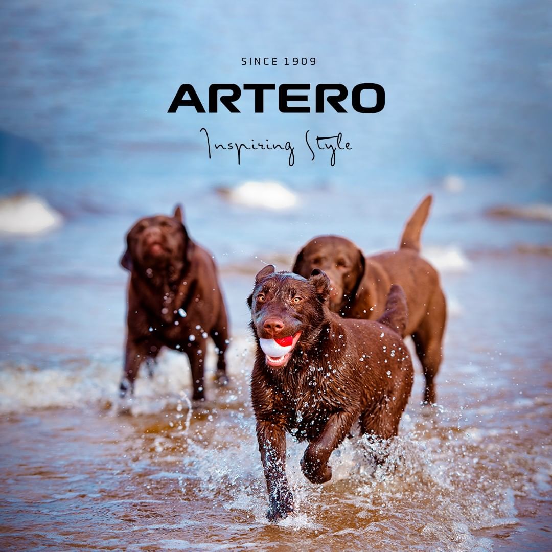 Artero Work Belt for Pet Groomers