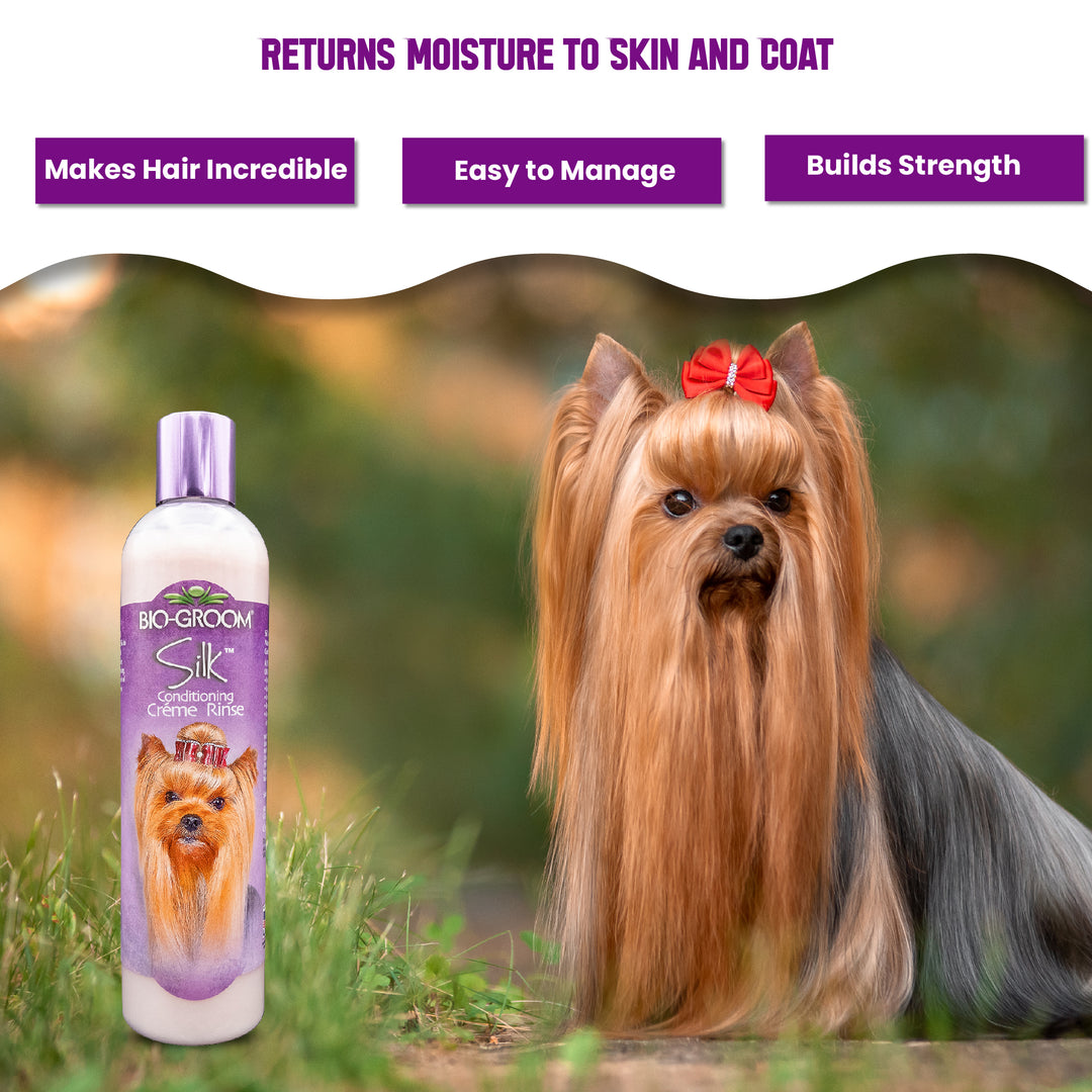 best conditioner, top conditioner, buy conditioner, conditioner online, conditioner for sale, natural conditioner, organic conditioner, sulfate-free conditioner, moisturizing conditioner, detangling conditioner, volumizing conditioner, strengthening conditioner, color-safe conditioner, conditioner for oily hair, conditioner for dry hair, conditioner for fine hair, conditioner for thick hair, conditioner for damaged hair, anti-dandruff conditioner, itchy scalp conditioner, sensitive scalp conditioner