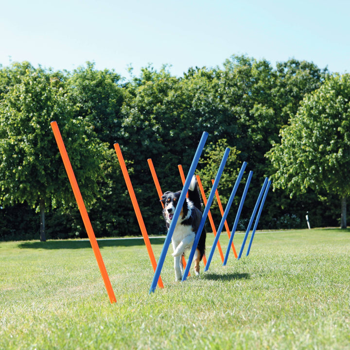 Trixie Agility Slalom Weave Dog Poles - abkgrooming.com