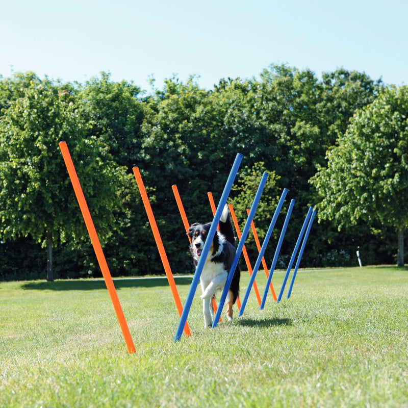 Trixie Agility Slalom Weave Dog Poles - abkgrooming.com