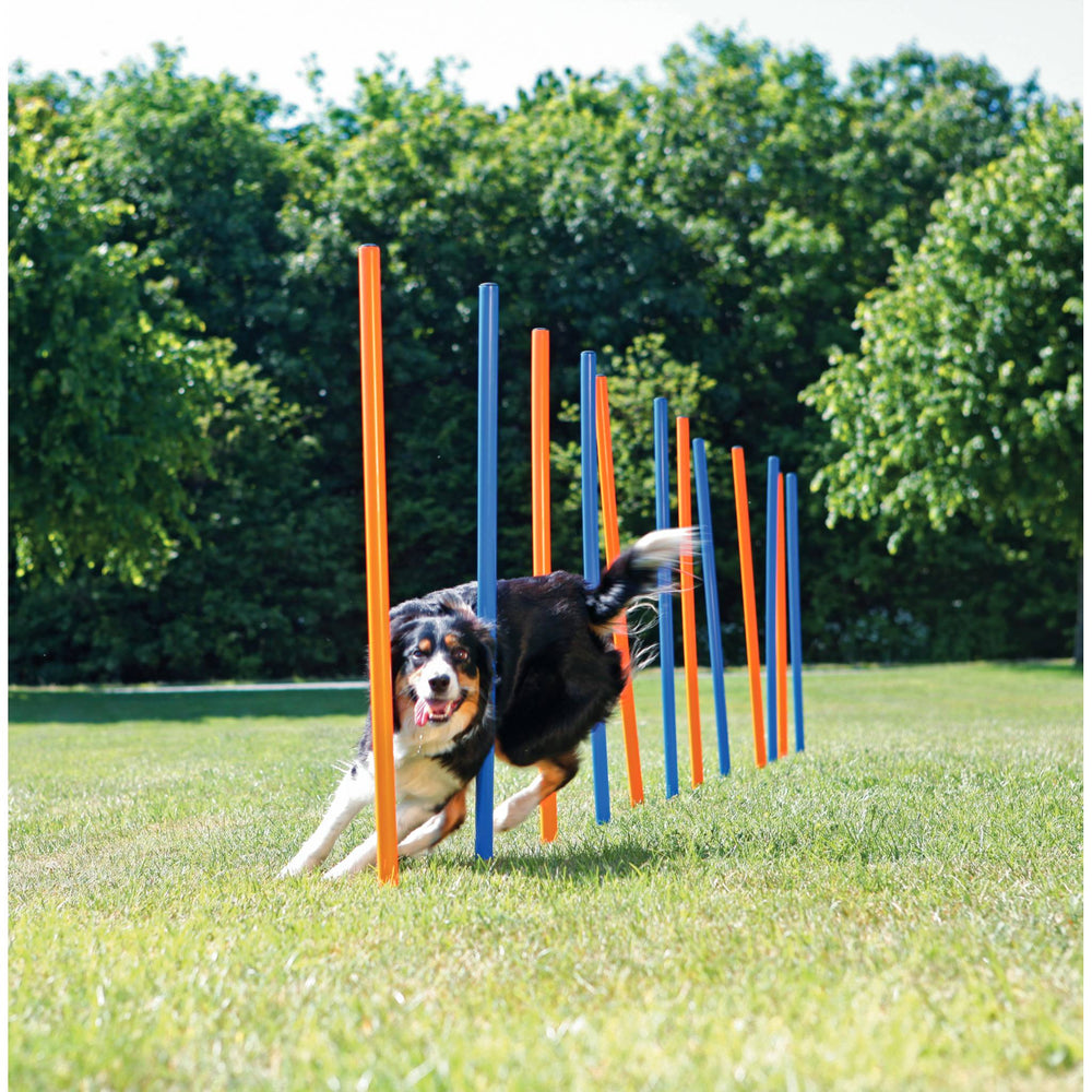 Trixie Agility Slalom Weave Dog Poles - abkgrooming.com