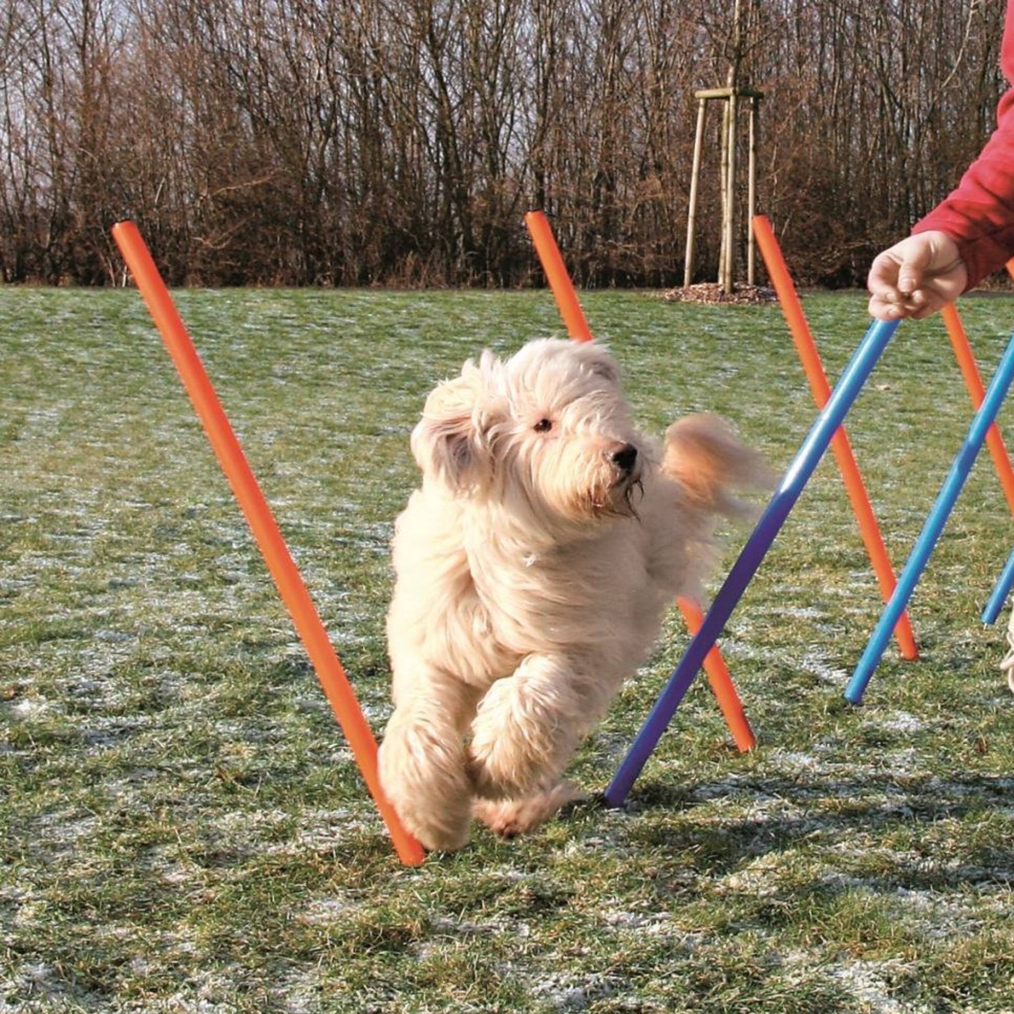 Trixie Agility Slalom Weave Dog Poles