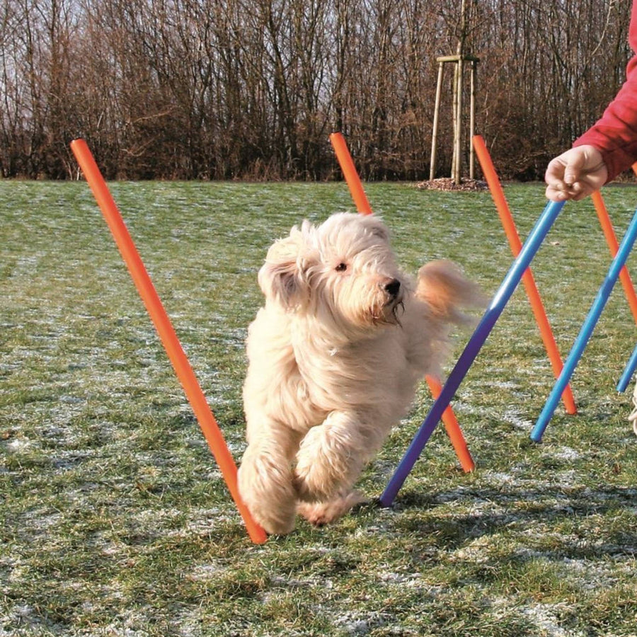 Agility Slalom (Weave Poles) for Dogs