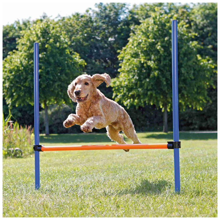 Dog Agility Hurdle, Blue/Orange, 4 ft. x 3.8 ft x ø 1.2 inch