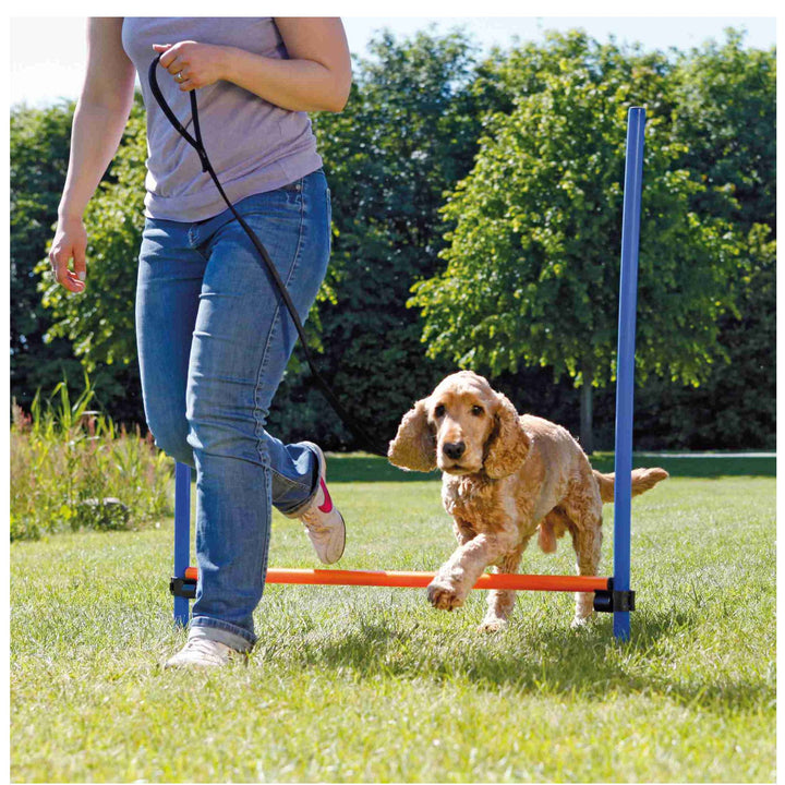 Dog Agility Hurdle, Blue/Orange, 4 ft. x 3.8 ft x ø 1.2 inch