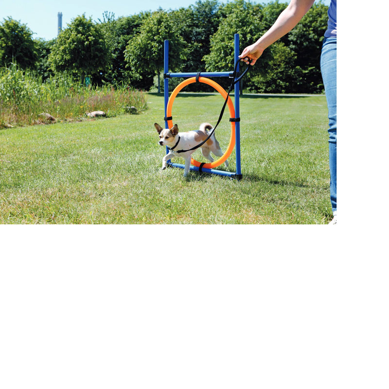 Fun Agility Ring - abkgrooming