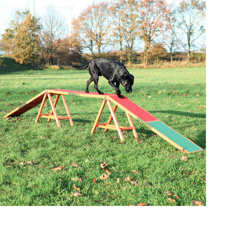 Agility Dogwalk - abkgrooming