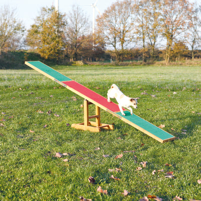 Trixie Dog Sport Wooden Agility See-Saw - abkgrooming.com