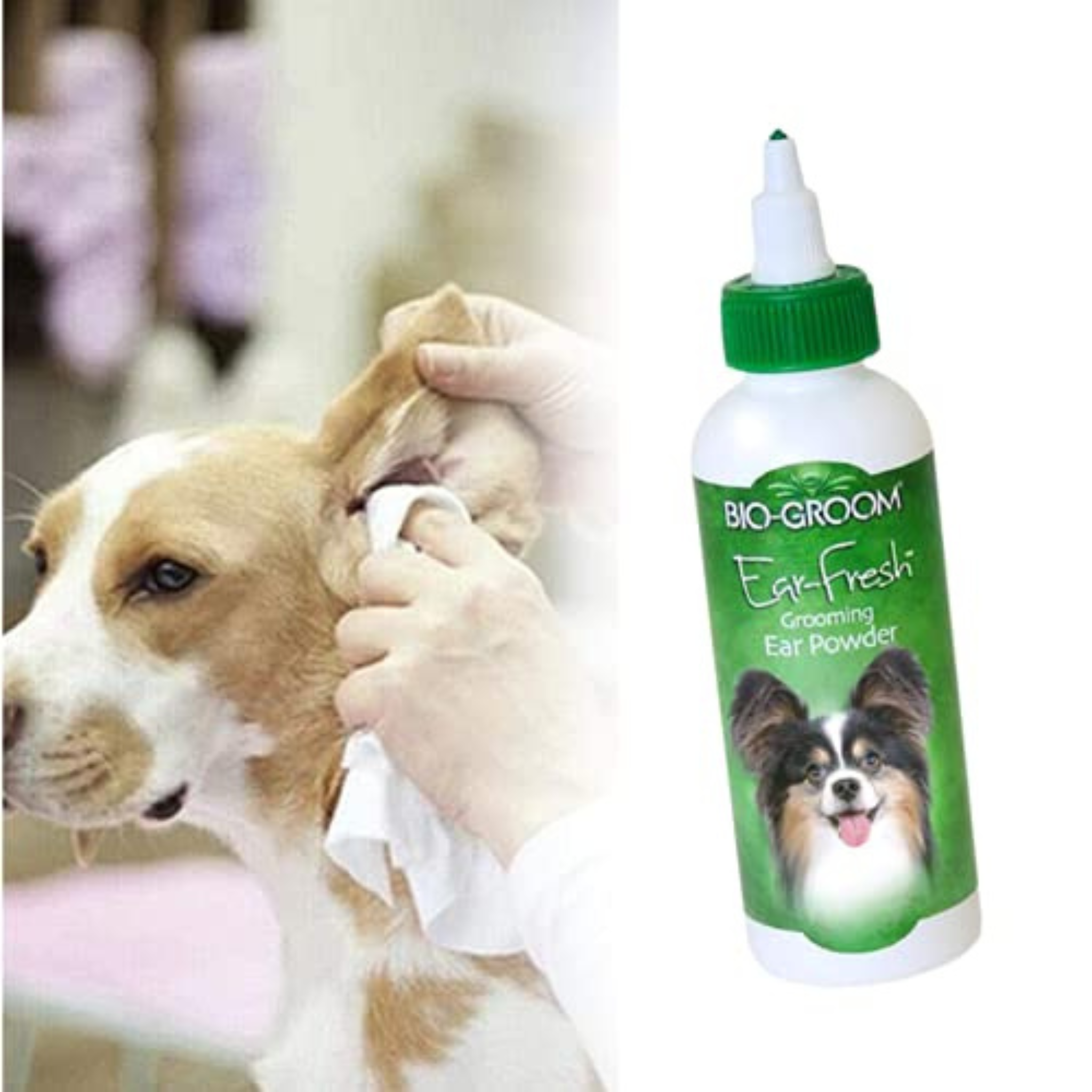 Ear Fresh Grooming Ear Powder for Dogs, 24gm