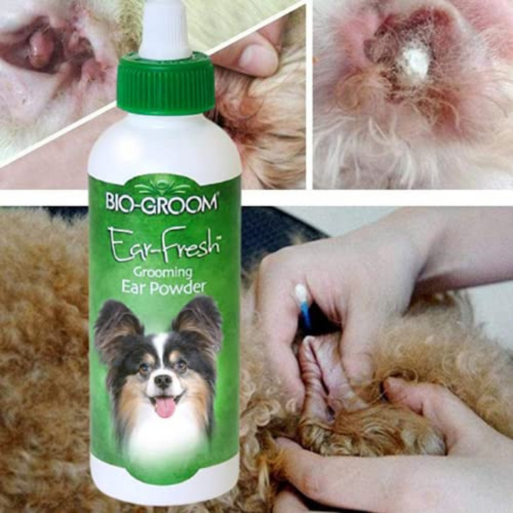Bio-Groom Ear Fresh Grooming Ear Powder for Dogs, 24gm