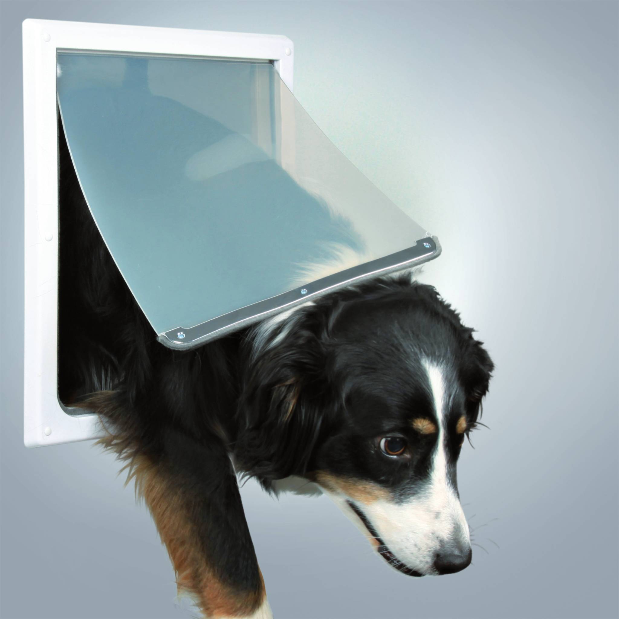 Trixie 2-Way Dog Flap, with Tunnel