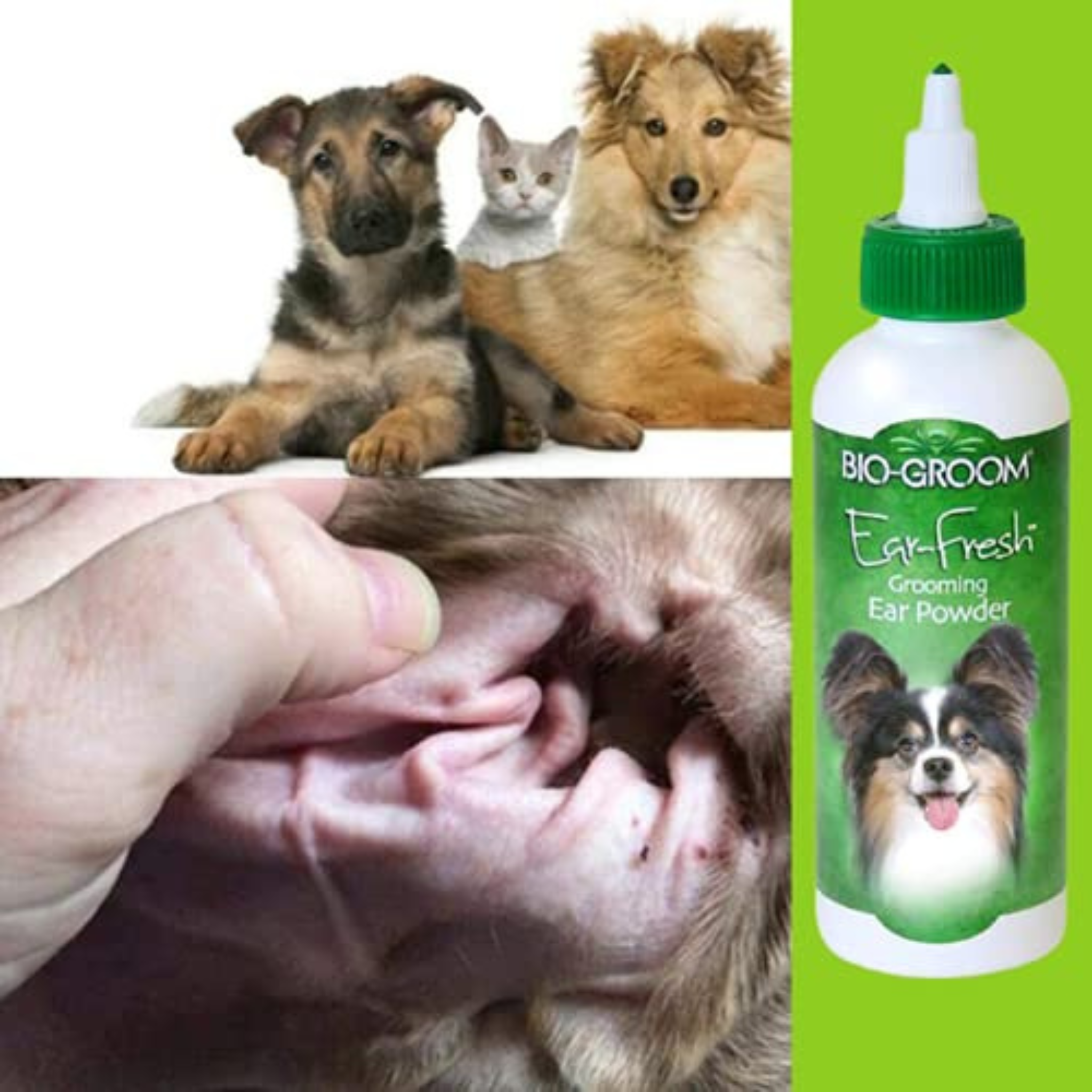 Ear Fresh Grooming Ear Powder for Dogs, 24gm