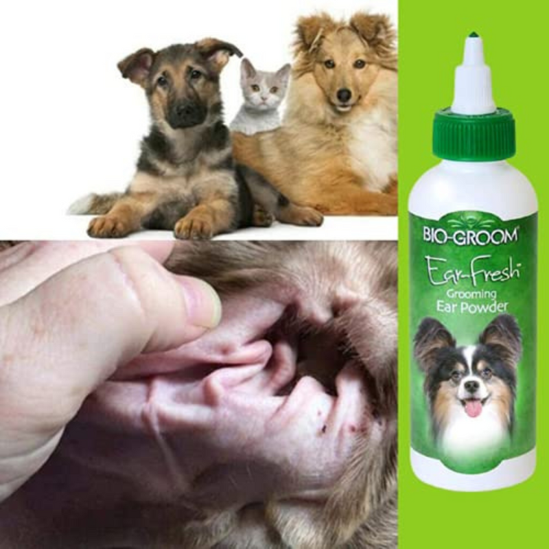 Bio-Groom Ear Fresh Grooming Ear Powder for Dogs, 24gm