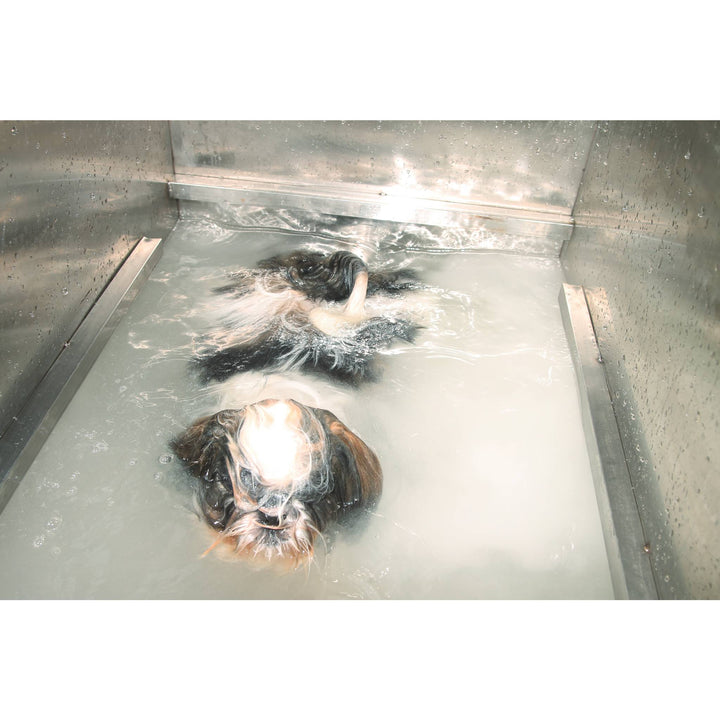Nova Micro Bubble SPA Tub For Bathing Dogs - abkgrooming