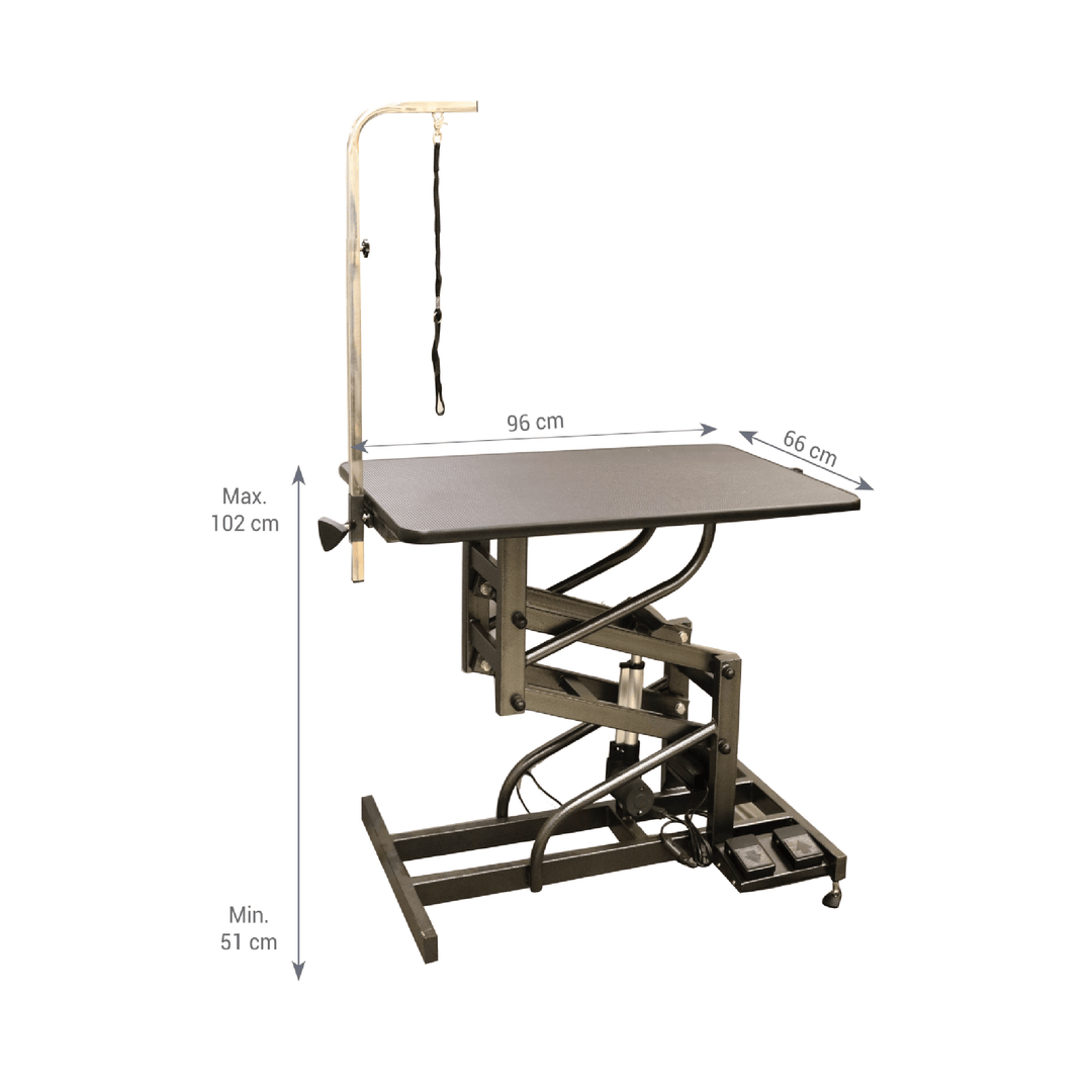 Pet lift sales electric grooming table