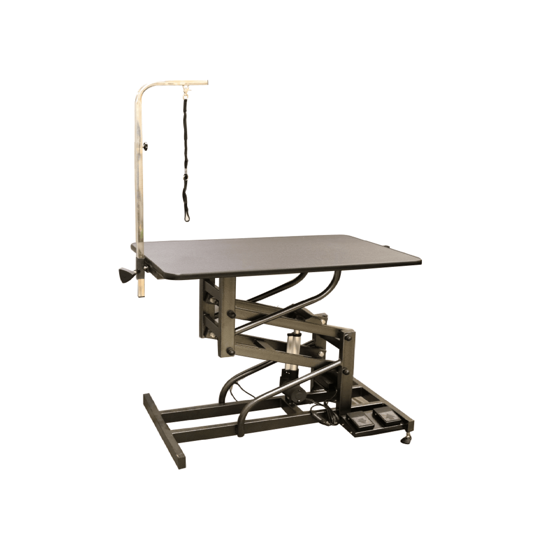 Aeolus Magna Active Electric Lifting Pet Grooming Table