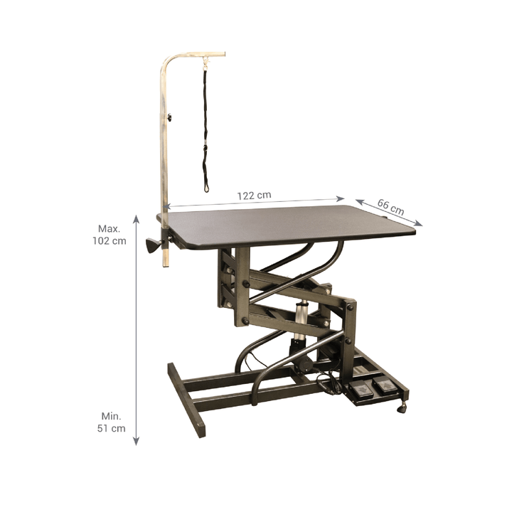 Aeolus Magna Active Electric Lifting Pet Grooming Table