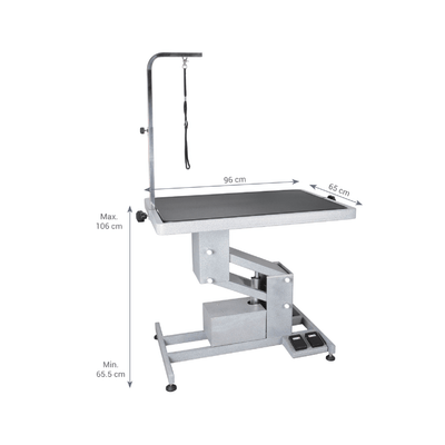 Aeolus Magna Z-Frame Electric Pet Grooming Table - Medium
