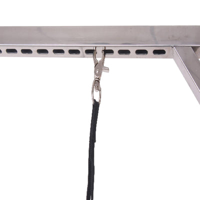 Aeolus Magna X Electric Lifting Pet Grooming Table