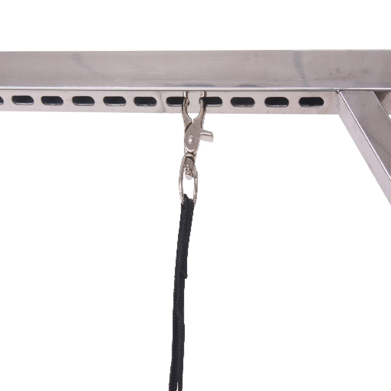 Aeolus Magna X Electric Lifting Pet Grooming Table