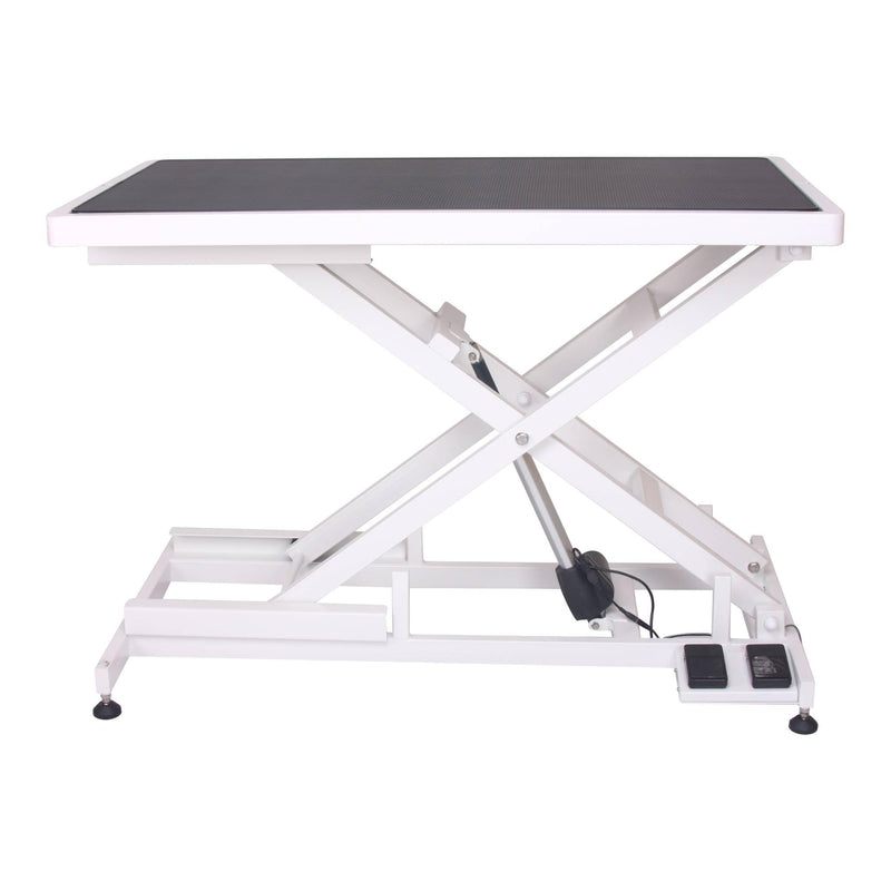 Aeolus Magna X Electric Lifting Pet Grooming Table