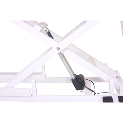 Aeolus Magna X Electric Lifting Pet Grooming Table