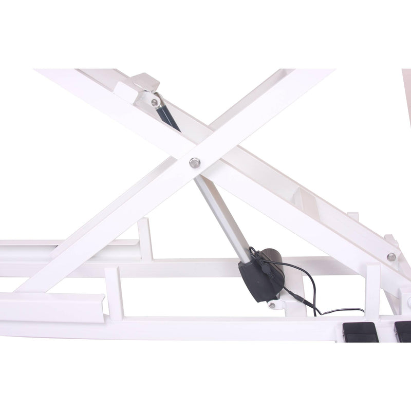 Aeolus Magna X Electric Lifting Pet Grooming Table